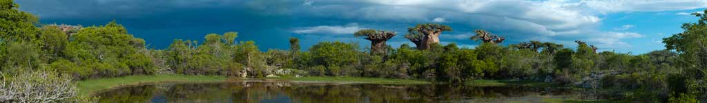 Valahantsaka resort Madagascar - Baobab unici al mondo